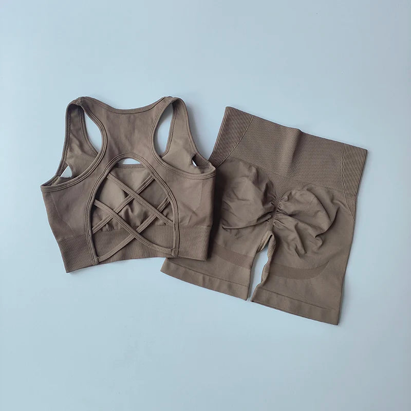 2 PCS Women's Seamless Yoga Set (Sport Bra, High Waist Sports Shorts)